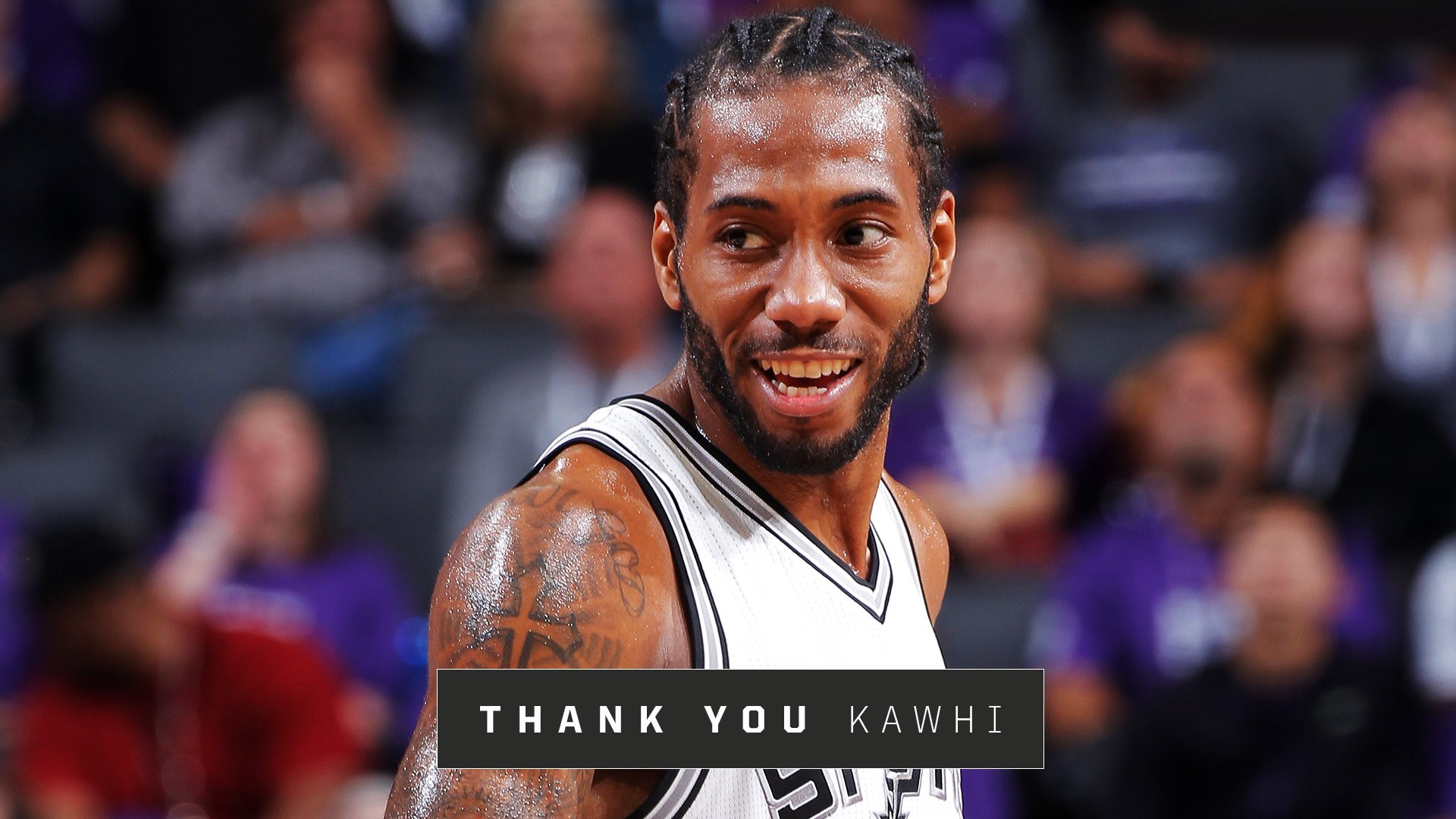 河道灯笼草 河道灯笼草